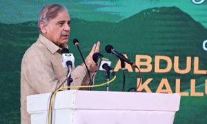 Pakistan, Prime Minister, Shehbaz Sharif, Nawaz Sharif, PTI, Government, Maulana Fazlur Rehman, Khyber Pakhtunkhwa, Dera Ismail Khan