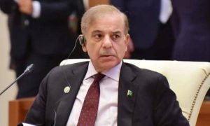 Government, billion, oil, Shehbaz Sharif, Prime Minister, Pakistan, production, wheat, million
