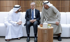Pakistan Enjoys Strong Ties with UAE, Says Shehbaz Sharif