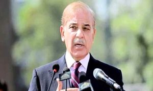 GCC, Pakistan, Investment, Agri Sector, Gulf Cooperation Council