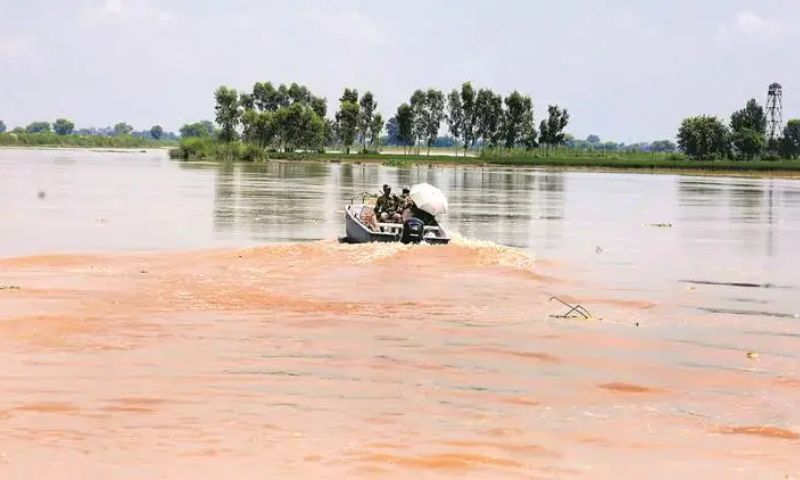 Sutlej, Inundates, Expected, Reach, High, Flood