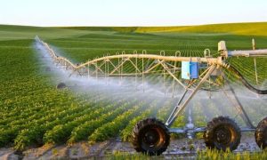 Saudi Agricultural Development Fund