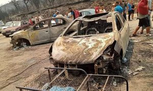 Saudi Arabia Offers Condolences to Algeria on Wildfires Victims