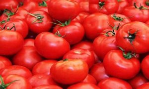 Tomatoes