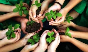 US, Educational, Environmental, Programme, Mansehra, KP