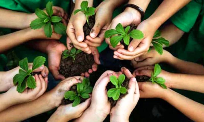 US, Educational, Environmental, Programme, Mansehra, KP