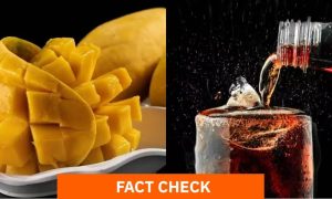 Mangoes, Soft Drinks, Nutritionists, Aga Khan University Hospital, Karachi, Scientific