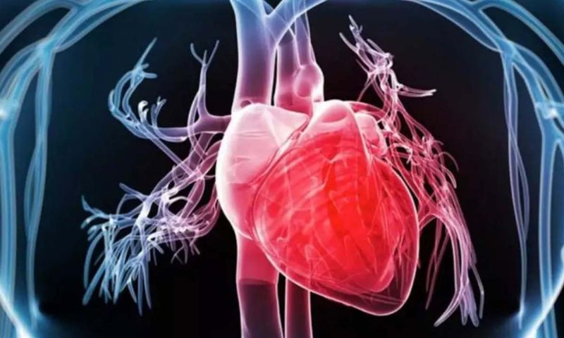 Fountain Life, Heart Attack, Company, Technology, AI, Health, Scan, Patients, Cardiologists, MRI,