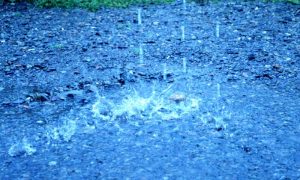 Rain, Weather, Tajikistan, Disaster, Rain