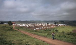 14 Killed in Attack on Village in Eastern DR Congo