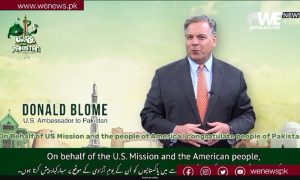 Ambassador