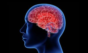Brain Implants