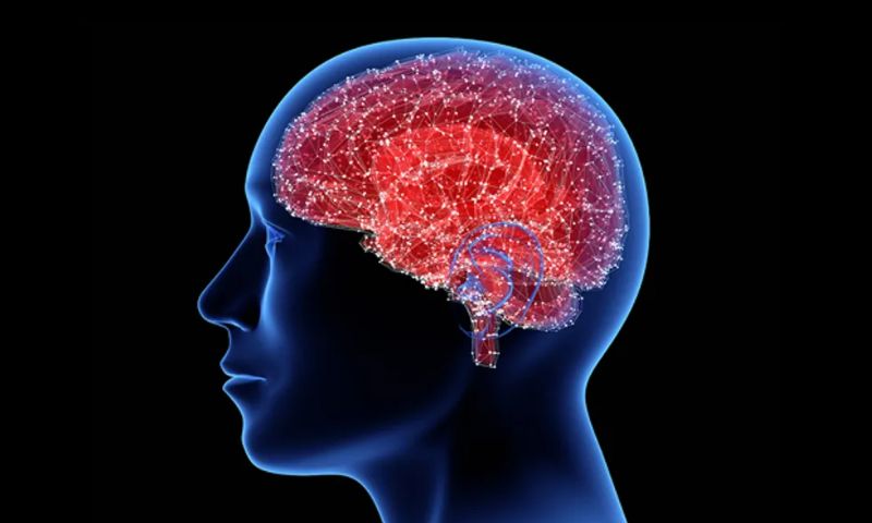 Brain Implants