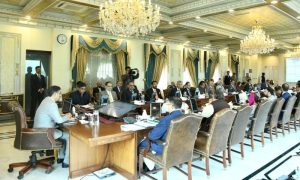Cabinet, PM, caretaker, polls