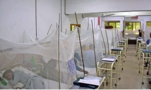 Dengue,