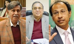 Pakistan, Prime Minister, Government, PPP, PML-N, IMF, Abdul Hafeez Shaikh