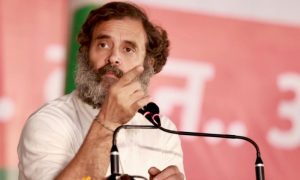 Rahul Gandhi, Parliament, India, Lawmaker