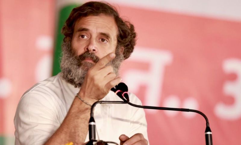 Rahul Gandhi, Parliament, India, Lawmaker