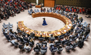 Moscow Vetoes UN Resolution on Mali Sanctions