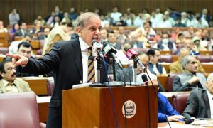 PM, Shehbaz, NA, Session, Govt, Achievements, Challenges, PDM. PTI, Prime Minister