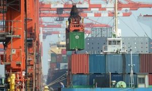 Export, Increase, Percent
