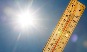 Weather, Hot, Humid, Areas, Country