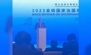 BRICS, Senator, Mushahid, Hussain, Syed