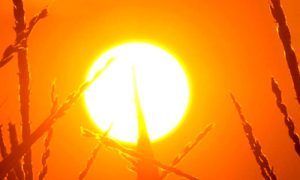 Weather, Pakistan, Hot, Humid, PMD, Areas, Country
