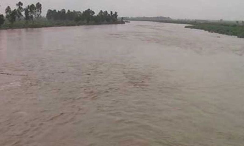 River, Sutlej, High, Flood