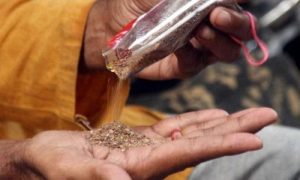 Smoking, Gutka, govt, office, hospital, ban
