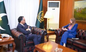 British Envoy, Pakistan's Caretaker Foreign Minister, ISLAMABAD, Jalil Abbas Jilani,