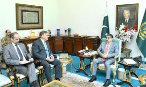 Ambassador, US, Meet, Caretake Prime Minister, PM