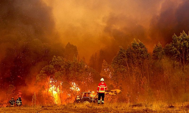 Wildfires