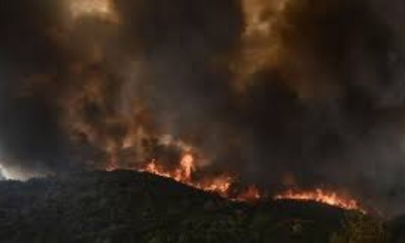 Wildfires