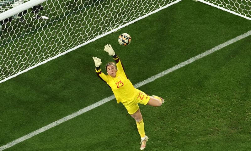 Womens World Cup Final Viral Image 2