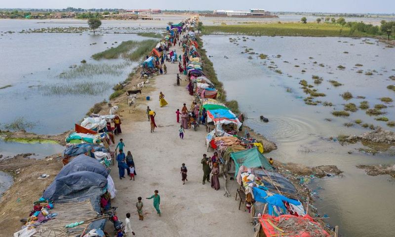 Flood, Funding, Pakistan, United Nations, Geneva, Julien Harneis,