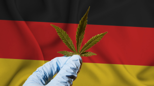 Cannabis, Germany, Chancellor, Cabinet, Bill, Government, Health Minister, Drug, Legislation,