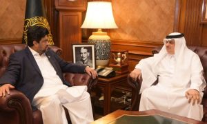Governor Sindh, Saudi Companies, Investment Opportunities, Karachi, Islamabad,