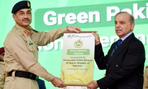 green pakistan 1