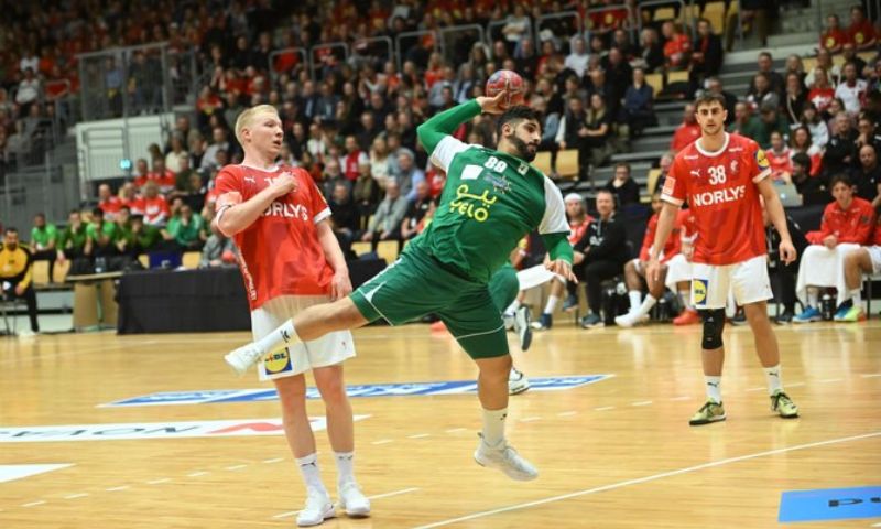 European, Coach, Saudi, Handball, Saudi Arabian Handball Federation, Netherlands, World Cup, Kingdom, Saudi,