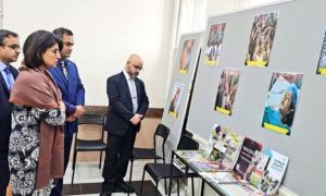 Photo, Exhibition, Kashmiris, Turkiye, Indian, UN, Security Council, President