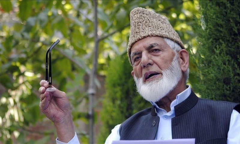 Kashmir, Syed Ali Gilani, India, IIJOK, Hurriyat Conference