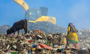 Waste Crisis, Waste Management, Innovation, Pakistan, Asian Development Bank, World Health Organization, plastic waste