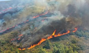 Greece, Wildfire, EU, firefighters