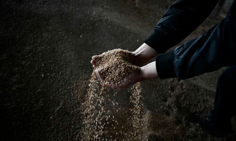 Grain