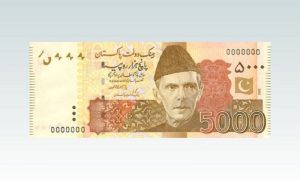 Pakistan, currency notes, Murtaza Solangi, Notification