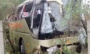 Bus