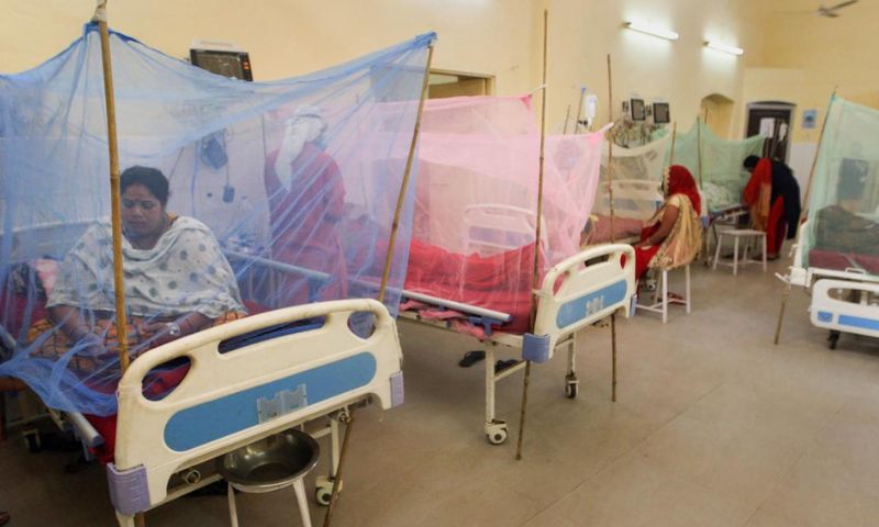 Dengue cases, Punjab, Pakistan, Lahore, Rawalpindi, Multan, Faisalabad