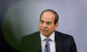 Egyptian, President, Abdel Fattah al-Sisi, Arab, Population, Minister of Health, China, Policy,