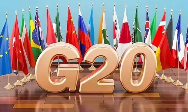 G20